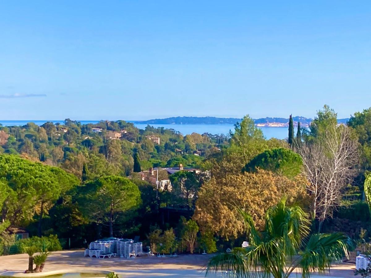 Les Restanques Plein Centre Vue Et Piscine Grimaud